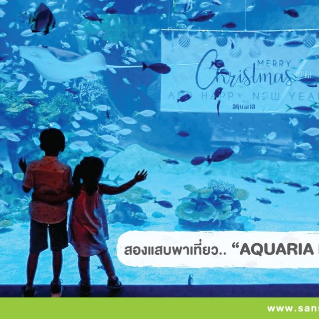 Aquaria Phuket